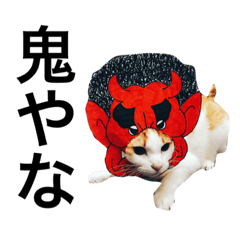 Cat speaking Japanese3