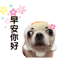 馬尼好碰友‎‎(´ސު｀)