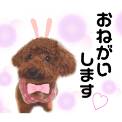 ayumi_20210622202517