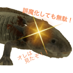 s.s_20210622013141