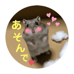 puku_20210622225300