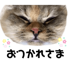 mimi_20210622205424