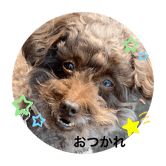 yuka_20210623000207