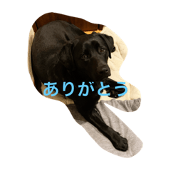 HANA_20210622212035