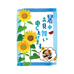 yukari_20210623110718