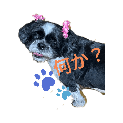 yuka_20210622223006