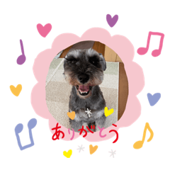 saori_20210622225247