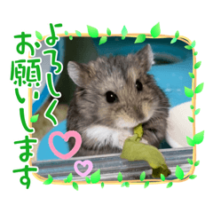 CoCoA_20210622233736