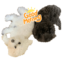 hikari_20210623000045