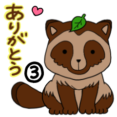 Thank you from a raccoon dog 3