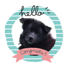 yukari_20210623005535