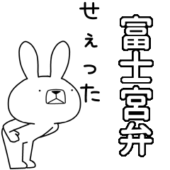 BIG Dialect rabbit[fujinomiya]