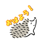 White Hedgehog