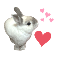 Omochi_20210623101115