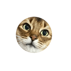 Mizuki_20210623144302