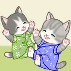 Fluffy kittens wearing "Jinbei"