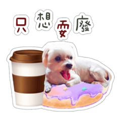 彭弟弟生活日常