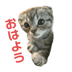 naho_20210623163423