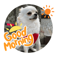 arisa_20210623174313