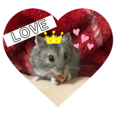 CoCoA_20210623182020