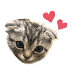 naho_20210623204128