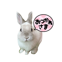 Omochi_20210623221244