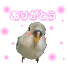 Rina_20210623225835