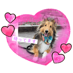 Ayumi_20210624082321