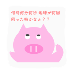 Daily life of a pig.