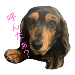 junhiro_20210623201320