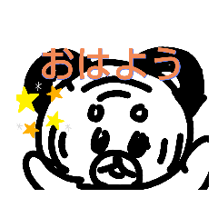 panda_20210623210251