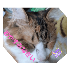chibi_8843