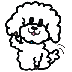 With a white toy poodle
