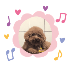 啊嘟嘟生活