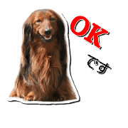 Dachshund_stamp