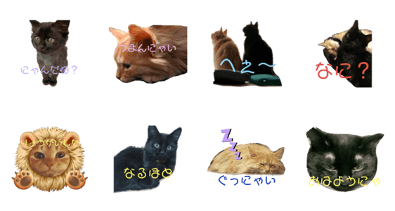 黒ねこと茶トラねこ Lineクリエイターズスタンプ Stamplist