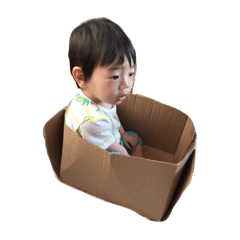 こったんの日常スタンプ Line スタンプ Line Store