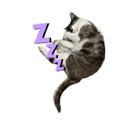 RINA_20210623213601 – LINE stickers | LINE STORE