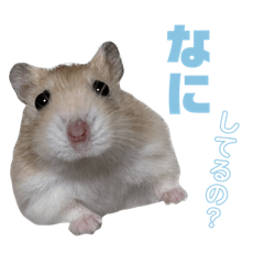 Arisa_20210624020942