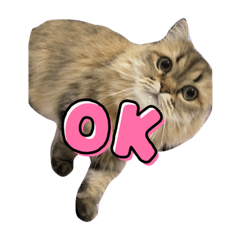 sharon_20210623222359