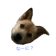 I am Kanbei!