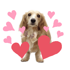 cherry_20210623231235