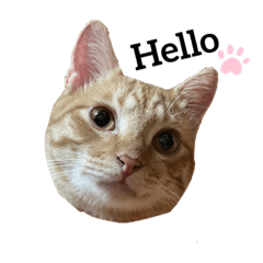 他口，他美味可口