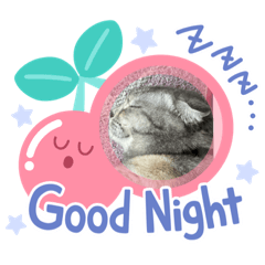 Himawari_20210624112657