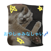 kawachi1