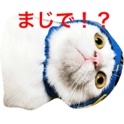 3neko3