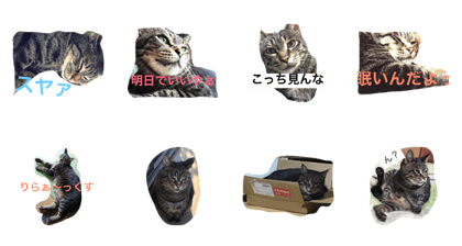 uchinogoemon