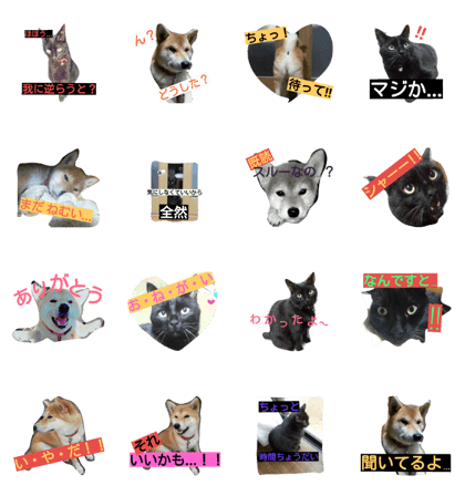 My family-jiji&konta-