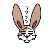 Rabbit Fairy.