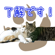 RURU'S CUTE Sticker